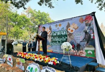 “ตลาดใบไม้แลกไข่” ลดเผา-ลดฝุ่น PM2.5 ไอเดียเจ๋งของชาวสันกำแพง :