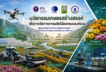 วว. จับมือภาคเอกชน/เครือข่ายเกษตรกร ยกระดับการผลิตดาวเรืองคุณภาพสูงด้วยเทคโนโลยีและนวัตกรรม :